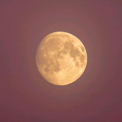星火文明手游下载